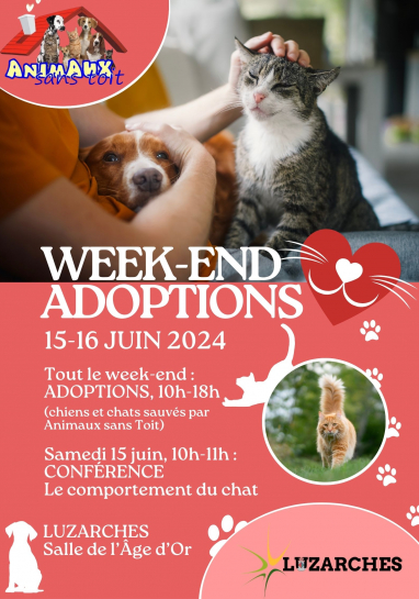 Affiche week-end adoptions 2024
