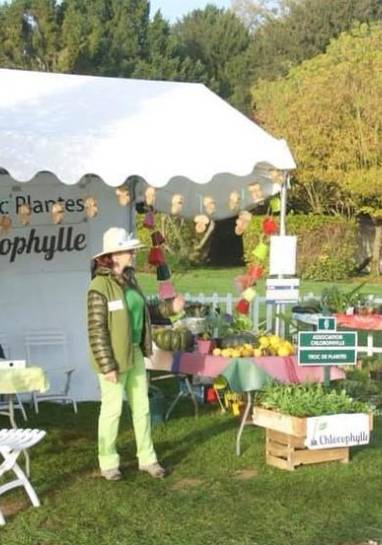 Troc plantes Chlorophylle