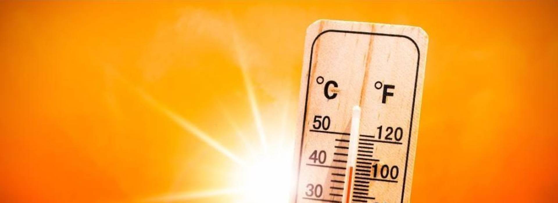 Alerte canicule