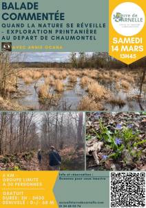 Affiche balade commentée