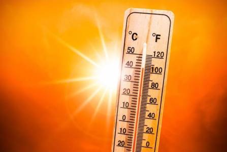 Alerte canicule