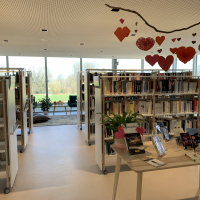 Bibliothèque Motte 2