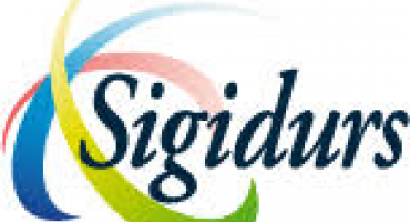 logo Sigidurs